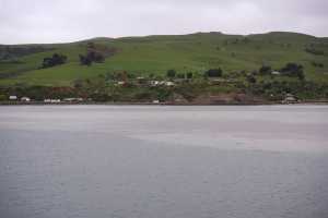 HARINGTON-POINT-DUNEDIN (2)